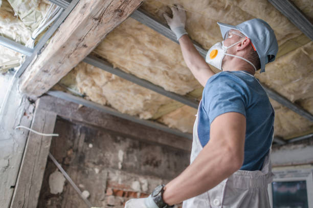 Trusted Sleepy Eye, MN Insulation Contractor Experts